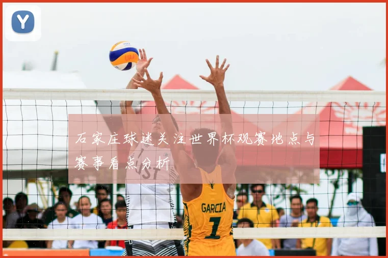 石家庄球迷关注世界杯观赛地点与赛事看点分析