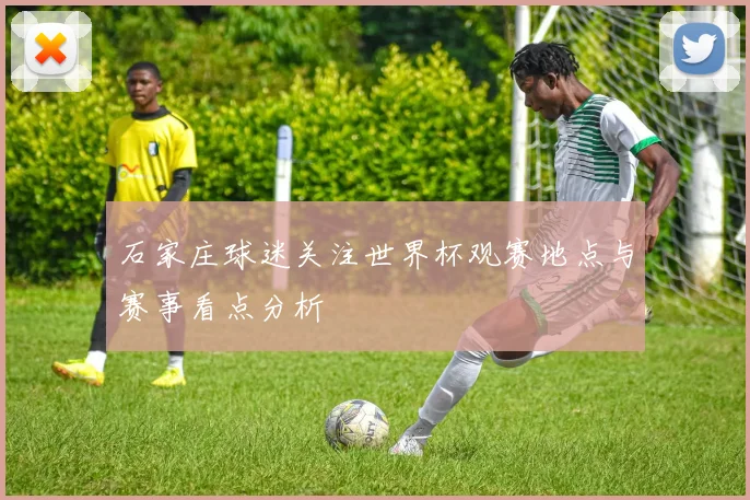 石家庄球迷关注世界杯观赛地点与赛事看点分析