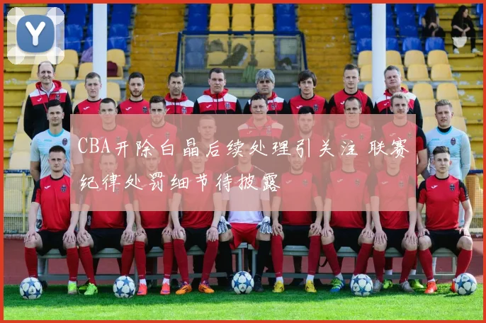 CBA开除白晶后续处理引关注 联赛纪律处罚细节待披露