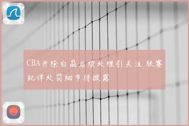 CBA开除白晶后续处理引关注 联赛纪律处罚细节待披露