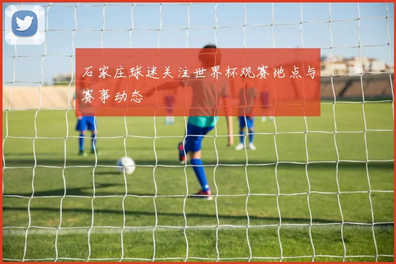 石家庄球迷关注世界杯观赛地点与赛事动态