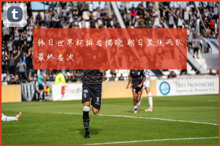 韩日世界杯排名揭晓 朝日聚焦两队最终名次